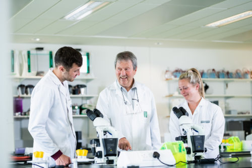 Students researching in a lab