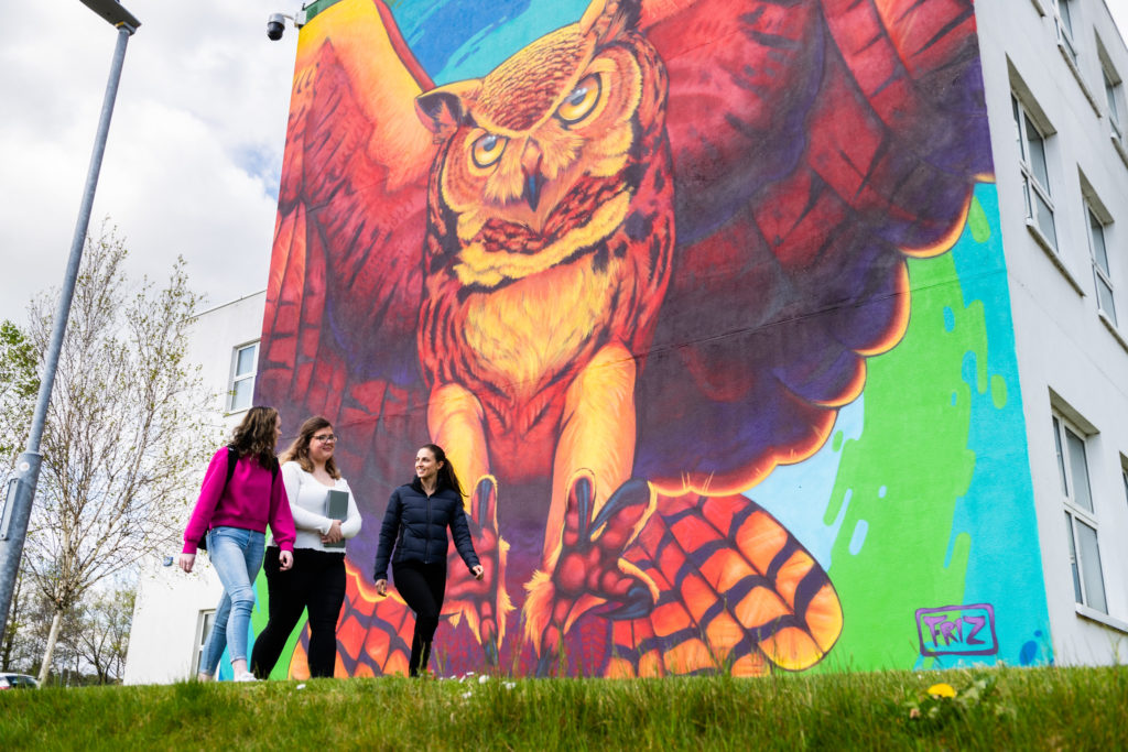 Mural at ATU Sligo